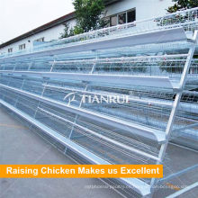 Tianrui H Type Automatic Broiler Poultry Farm Cage Design